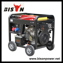 Bison China Zhejiang 3000Watt 3KVA 3KW mano de inicio Digital Silent Diesel Generator